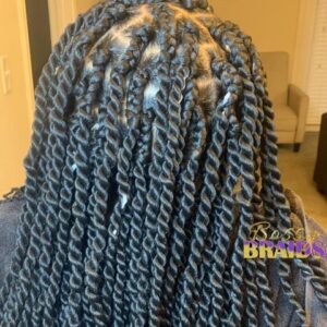 Senegalese Twists
